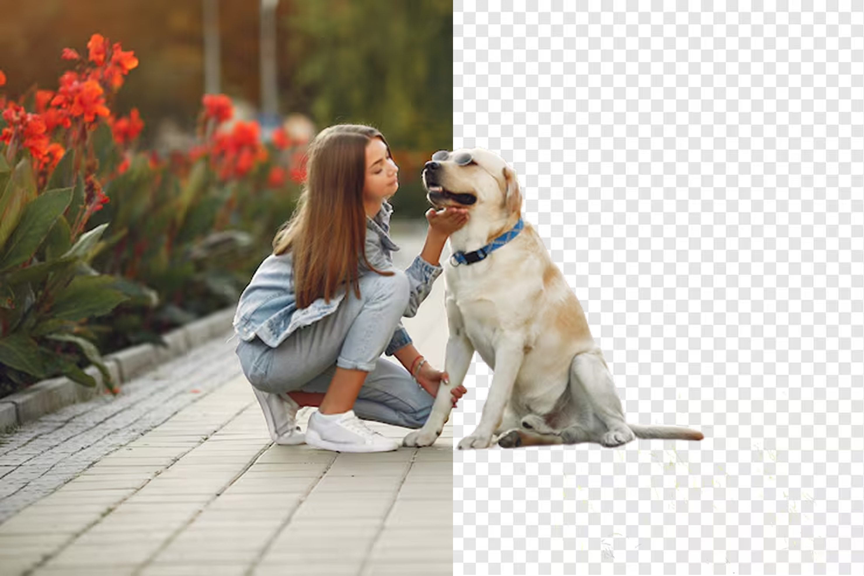 AI Background Remover API